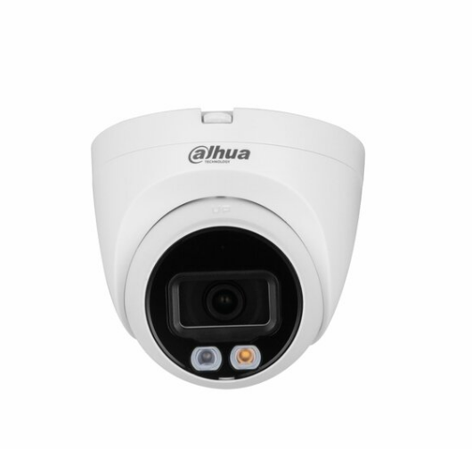 IL 2MP Smart Dual Light Fixed-focal Eyeball WizSense Network Kamera