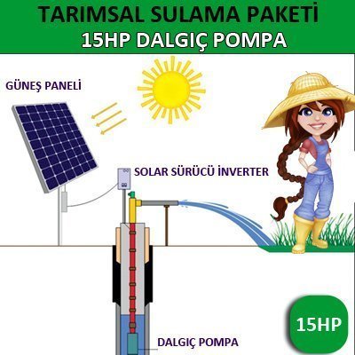 15Hp Dalgıç Pompa - Tarımsal Sulama Sistemi