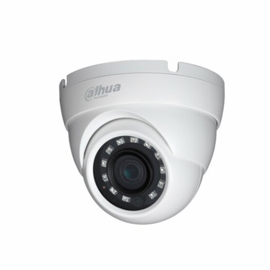 2MP Starlight HDCVI IR Eyeball Camera